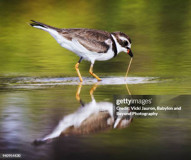73 Puling Stock Photos, High-Res Pictures, and Images - Getty Images