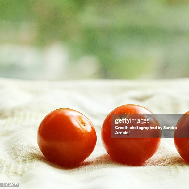 Sunlit Tomatoes