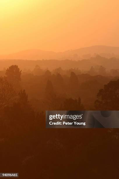 african dusk - harare stock pictures, royalty-free photos & images