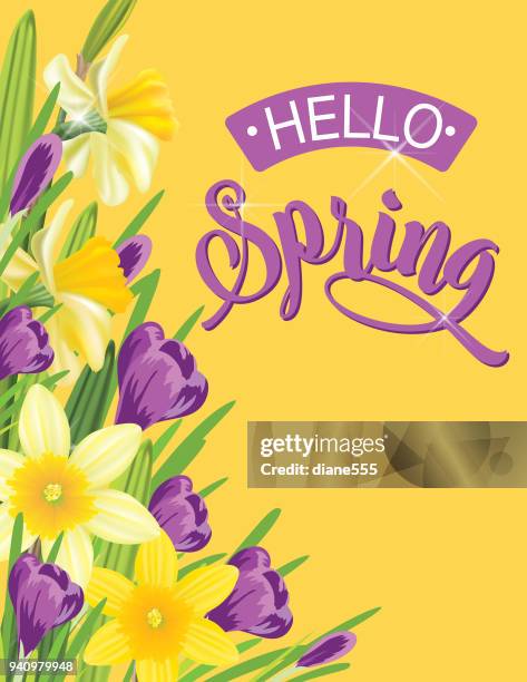 realistic daffodil and spring flowers background border - yellow crocus stock illustrations