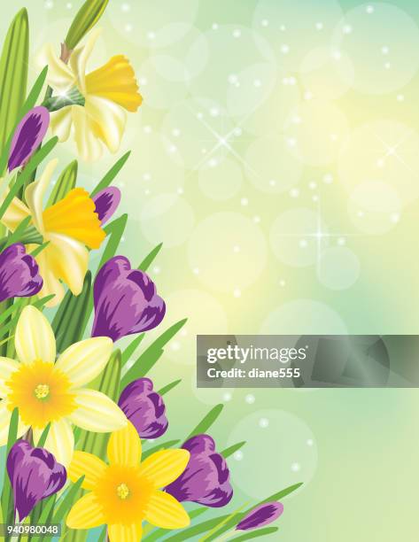 Daffodil Border Photos and Premium High Res Pictures - Getty Images