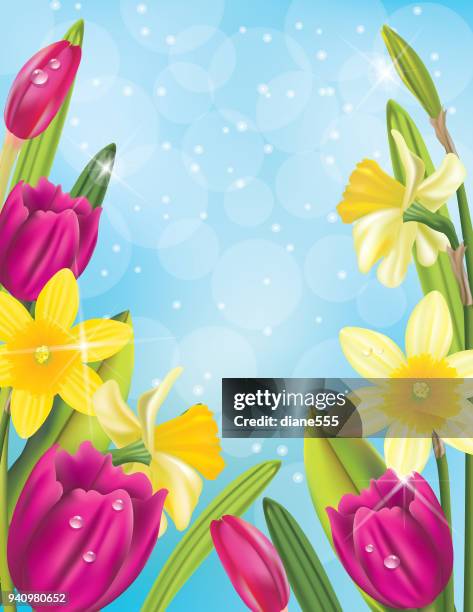 Border Spring Still Spring Border Photos and Premium High Res Pictures - Getty Images
