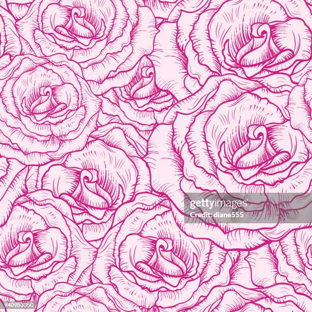 Rose Drawing Pattern Vector 1,074 Images Of Roses To Draw Stock Photos, High-Res Pictures, and ...