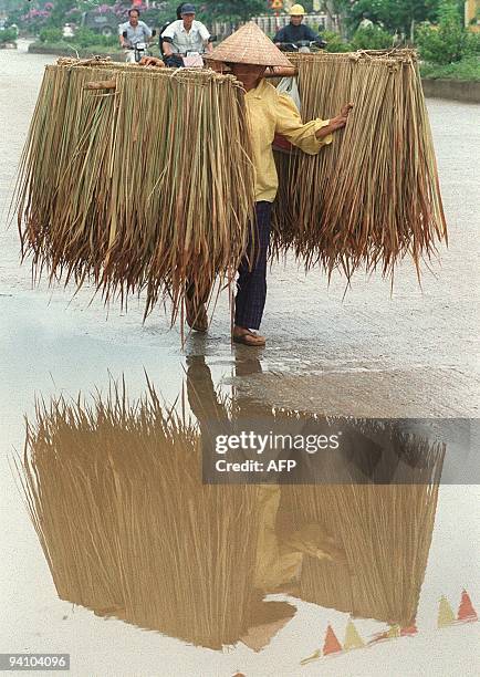 Woman carrying straw from the Gianh Tree, indigenous to Lai Chau province, is reflected in a pool of water after early morning rain 06 May 1999 in...