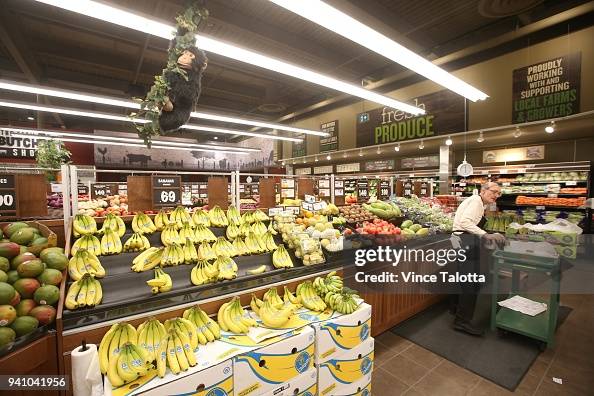 Interior Pictures Of The Newly Opened Grocer Farm Boy In News Photo Getty Images Interior Pictures Of The Newly Opened Grocer Farm Boy In News Photo Getty Images