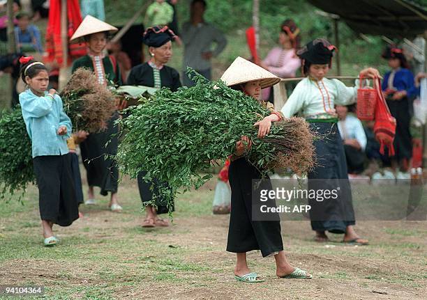 Tai-minority girl carries a bundle of local roots used for traditional medicine, 06 May 1999, at a morning market in Lai Chau province where...