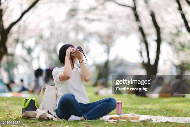 jonge vrouw fotograferen tijdens picknick - hanami stockfoto's en -beelden