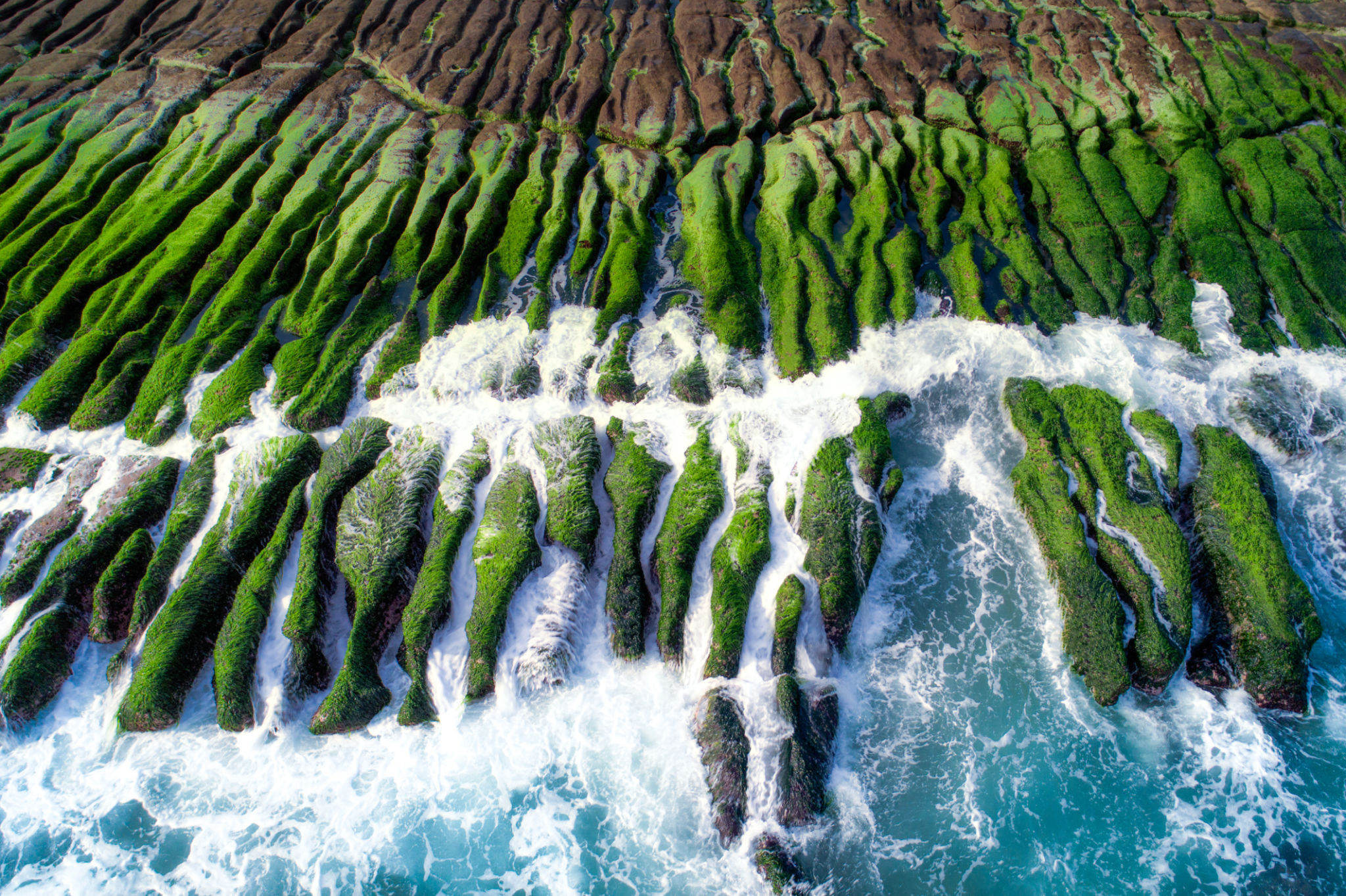 coastal-ecosystem