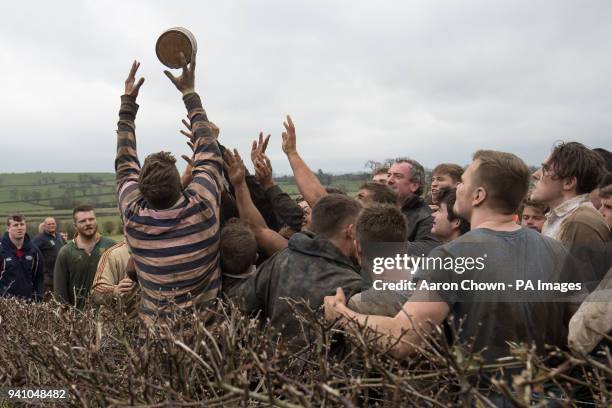 The bottle is chucked over the hedge during the game of bottle-kicking in Hallaton, Leicestershire. The game is played between Hallaton and the...