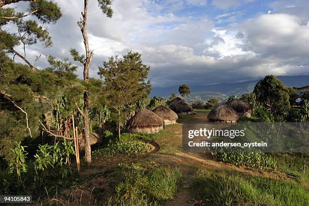 traditional village - papua new guinea - villagers stock pictures, royalty-free photos & images