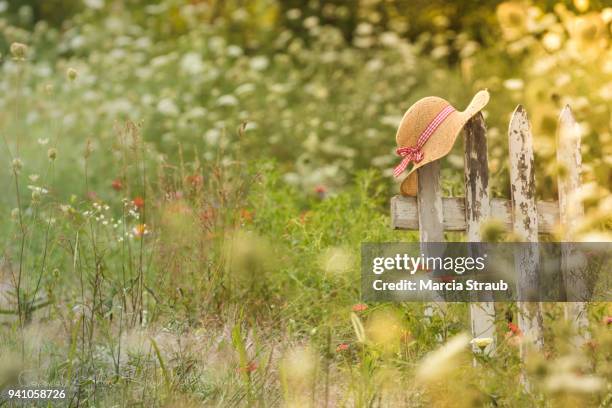 summer days and wildflowers - gartenzaun stock-fotos und bilder