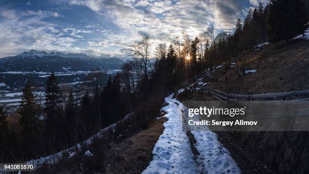 woodland and snowy trail on the slope of mountain - palissades stockfoto's en -beelden