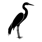 Vector image of the silhouette of the birds of the heron