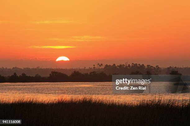sunrise in citrus county, florida with crystal river in the foreground - crystal river florida stock-fotos und bilder