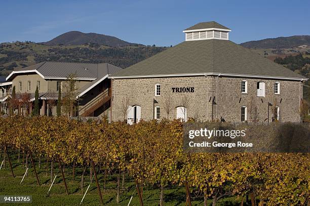 Trione Winery is seen in the background with zinfandel vineyards turning orange and red color before going dormant in this 2009 Geyserville,...