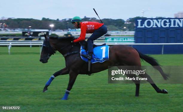 Kerrin McEvoy on Redzel during a trackwork session ahead of day one of The Championships at Royal Randwick Racecourse on April 3, 2018 in Sydney,...