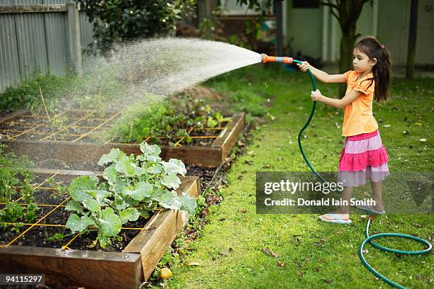 girl waters vegetable patch - hose stock pictures, royalty-free photos & images