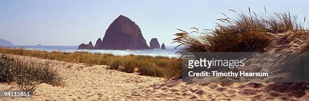 haystack rock with beach grasses - timothy hearsum stock-fotos und bilder