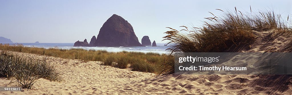 Haystack Rock with beach grasses