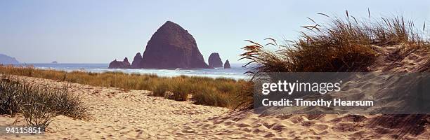 haystack rock with beach grasses - timothy hearsum 個照片及圖片檔
