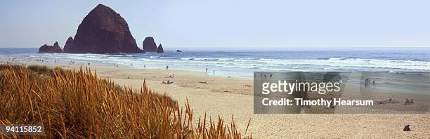 haystack rock with grasses and beach goers - timothy hearsum photos et images de collection