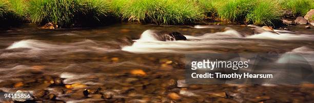 river flowing over rocks with grassy bank - timothy hearsum fotografías e imágenes de stock