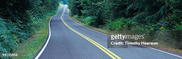 road through forest - timothy hearsum stock pictures, royalty-free photos & images