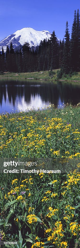 Mountain, lake and wildflowers