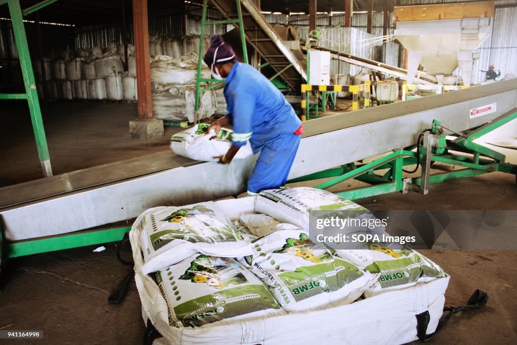 OFMB employees packaging 50kgs of organic fertilizer bags in...