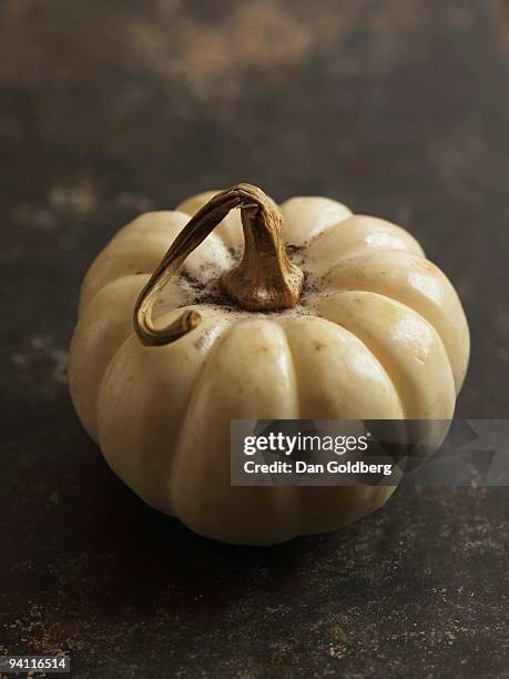 miniature white pumpkin - miniature pumpkin stock pictures, royalty-free photos & images