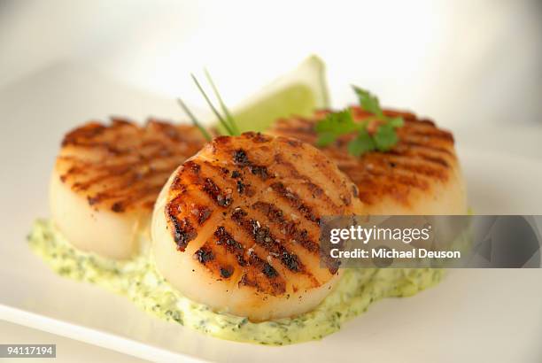 grilled scallops - seared stockfoto's en -beelden