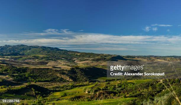 horizonless italian green hills in tuscany. farmlands and olive trees plantations. panoramic view. - agriturismo stock-fotos und bilder