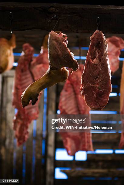 meat hanging in a slaughterhouse, kiev, ukraine - koelkast stockfoto's en -beelden