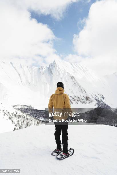 looking out to a beautiful view - the frozen snowshoe stock pictures, royalty-free photos & images