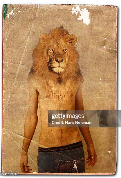 man with lion's head on the book cover - animal body part stock pictures, royalty-free photos & images