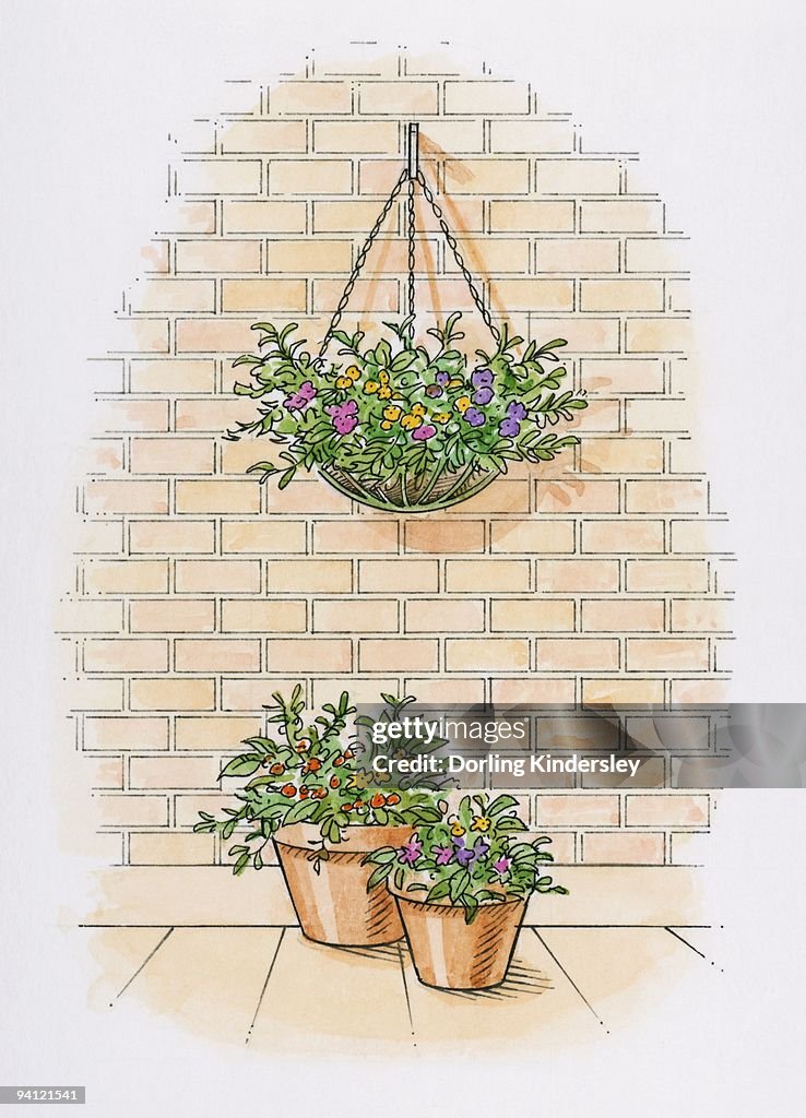 Illustration of hanging basket on brick wall with potted plants on patio below