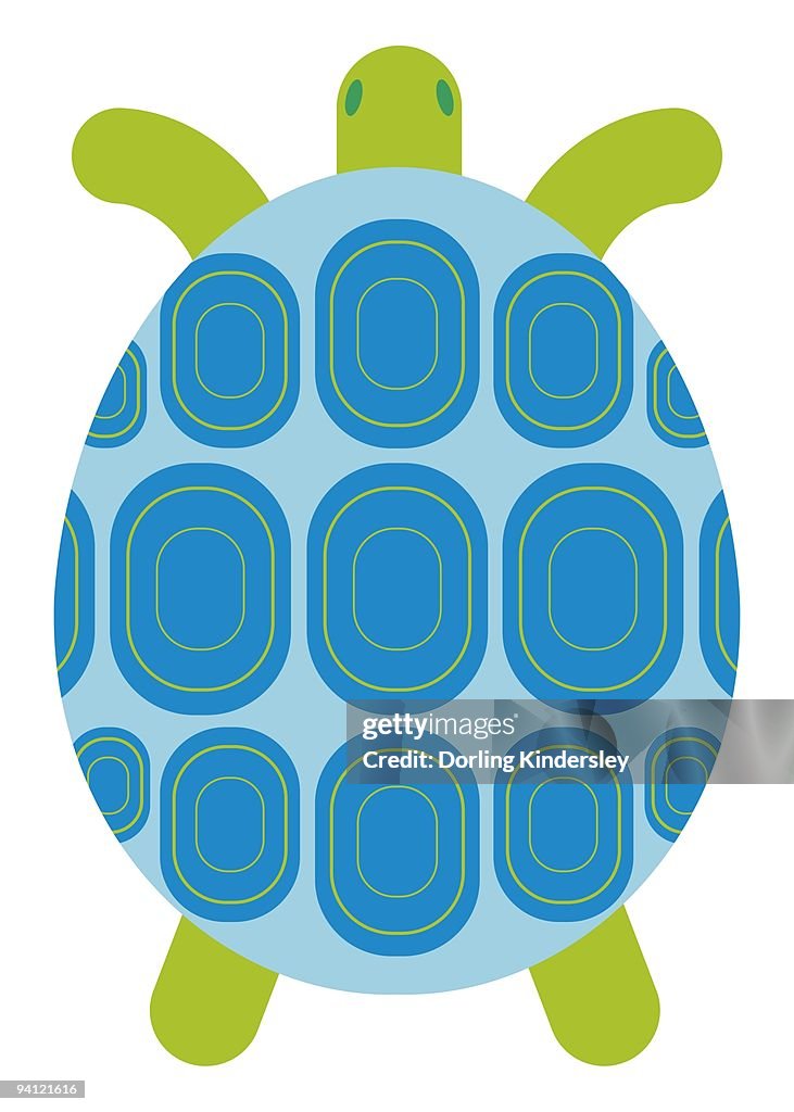 Digital illustration representing a colourful blue and green tortoise