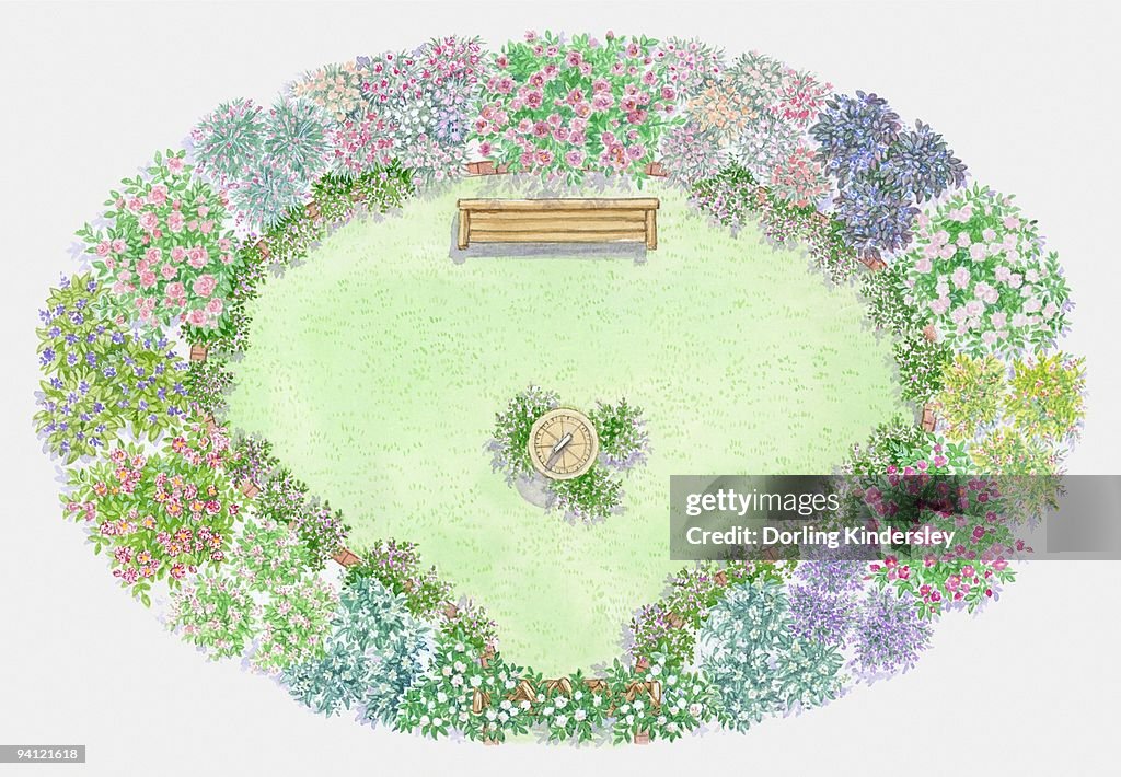 Illustration of herbs used as edging in rose garden surrounding lawn
