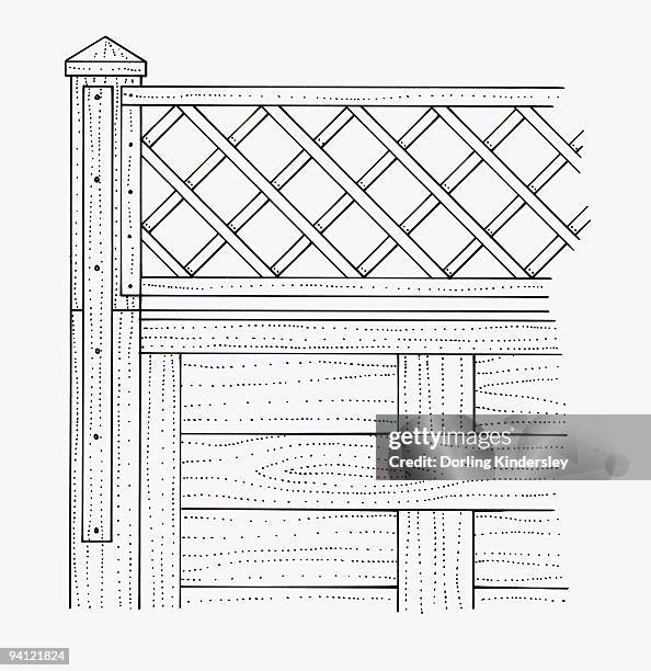 black and white illustration of batten and trellis nailed to garden fence - batten stock-grafiken, -clipart, -cartoons und -symbole