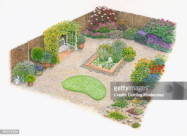 illustration of domestic garden with colourful herb and flowerbeds, water garden, pot plants and pat - gravel stock illustrations