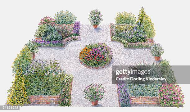 ilustrações, clipart, desenhos animados e ícones de illustration of pot pourri herb bed in formal garden - cascalho