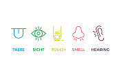 5 human senses illustrations. Taste, sight, touch, smell, hearing. Tongue, eye, finger, nose and ear. Vector trendy thin line icon pictogram designs in different colors