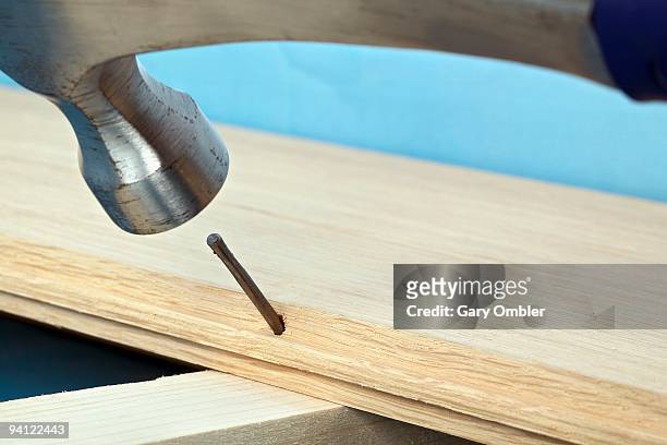 hammering nail into tongue of floorboard on top of wood batten, close-up - vatten stock pictures, royalty-free photos & images