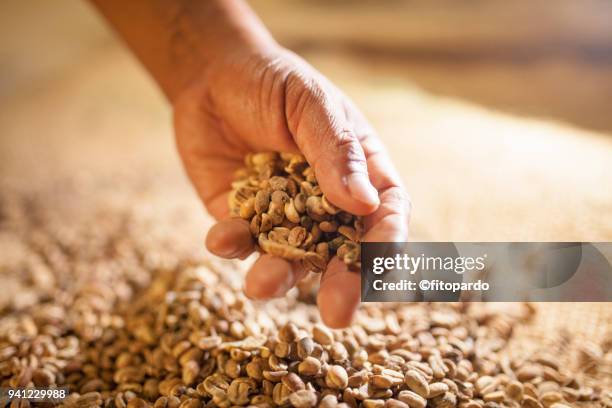 hand drops coffee seeds - sac 個照片及圖片檔