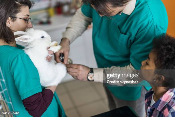 Dr Rabbbit 286 Dr Rabbit Stock Photos, High-Res Pictures, and Images - Getty Images