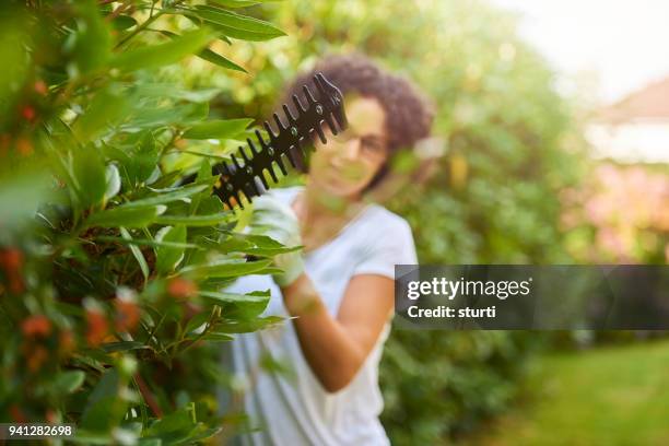 hecke schneiden - heckenschere stock-fotos und bilder