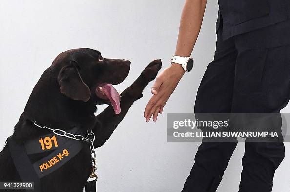 THAILAND-POLICE-ANIMAL-DOG THAILAND-POLICE-ANIMAL-DOG