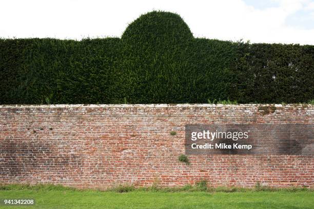 Wall and topiary hedge at Hever Castle in Hever, England, United Kingdom.