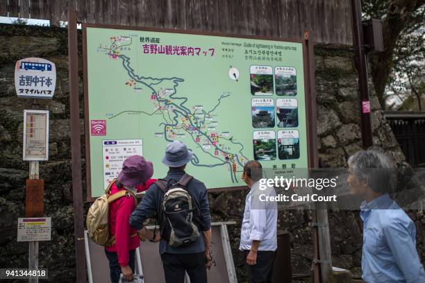 Visitors check a large map on April 3, 2018 in Yoshino, Japan. The town of Yoshino in Nara Prefecture has become famous throughout Japan for the...