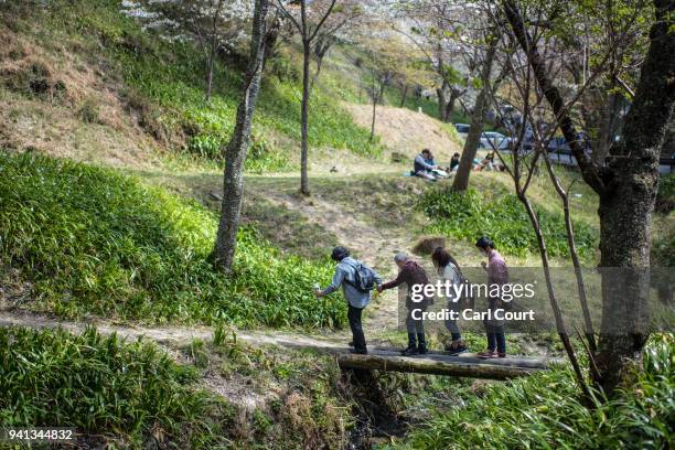 People cross a small footbridge as they visit Mount Yoshino on April 3, 2018 in Yoshino, Japan. The town of Yoshino in Nara Prefecture has become...